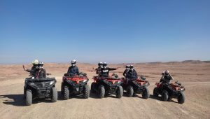 Camel and Quad Buggy Evening Tour